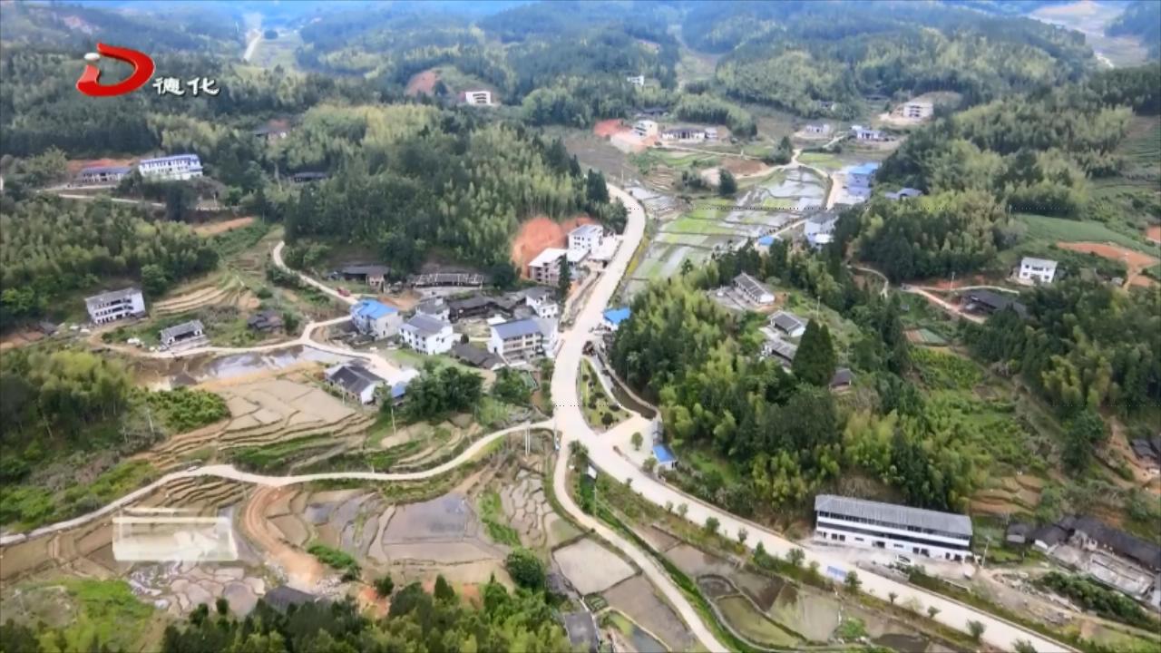 汤头乡:多措并举 擦亮乡村振兴底色_视频新闻_德化县人民政府