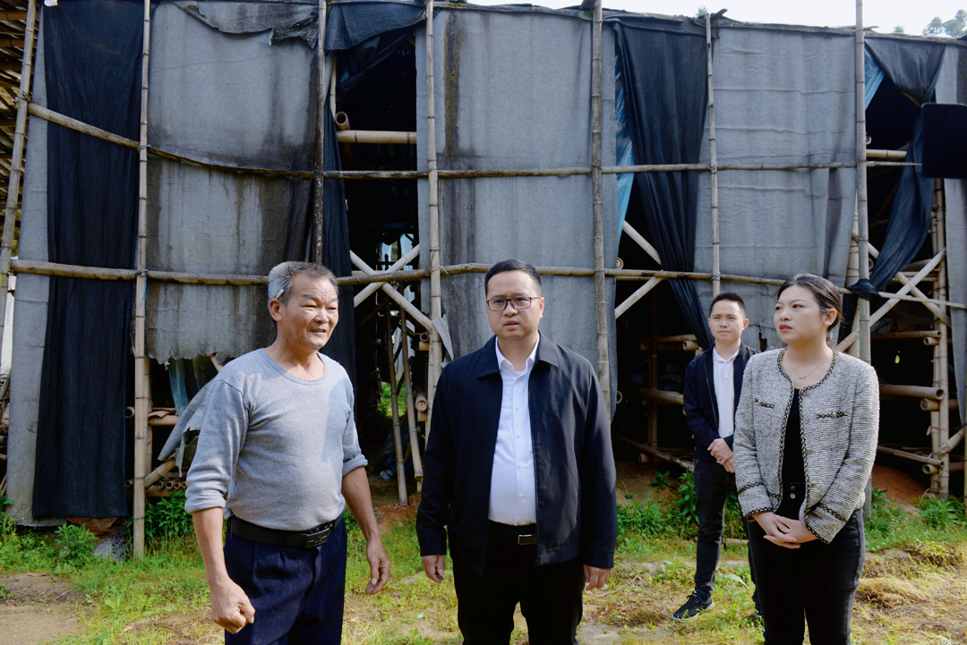 县长到国宝乡调研_视频新闻_德化县人民政府