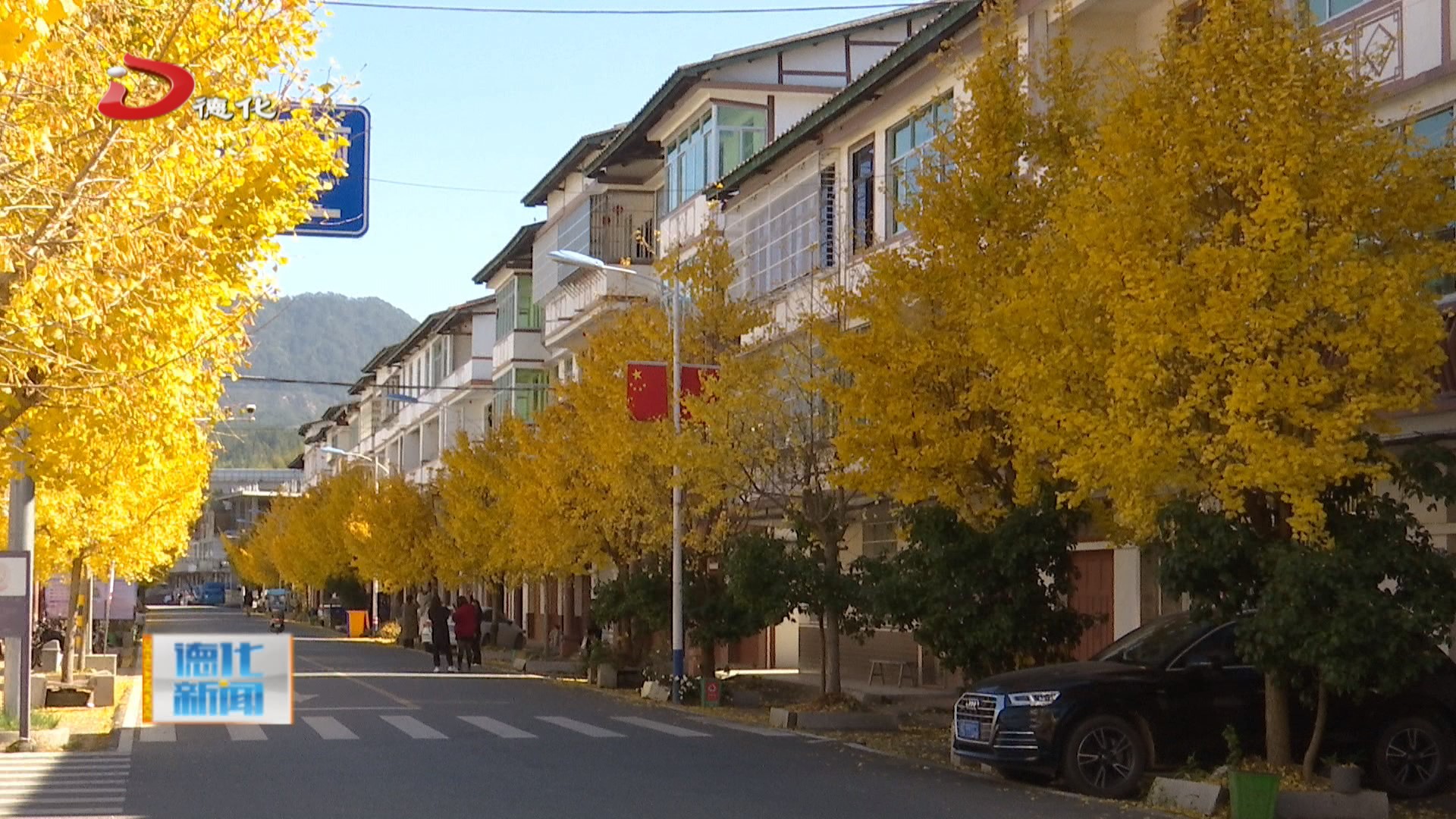 上涌镇:银杏扮古街 冬日别样美_视频新闻_德化县人民政府